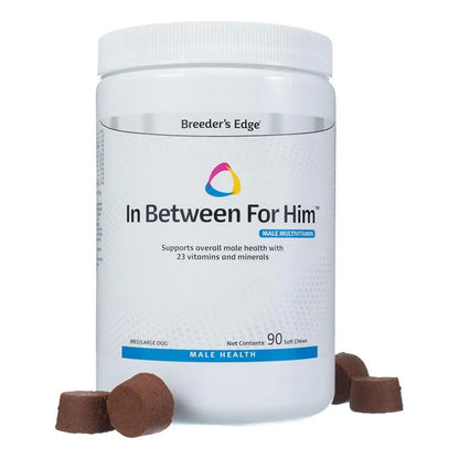 Multivitaminas Masculinas Para Perro Mediano Largo 90 Tabletas Revival Animal Health