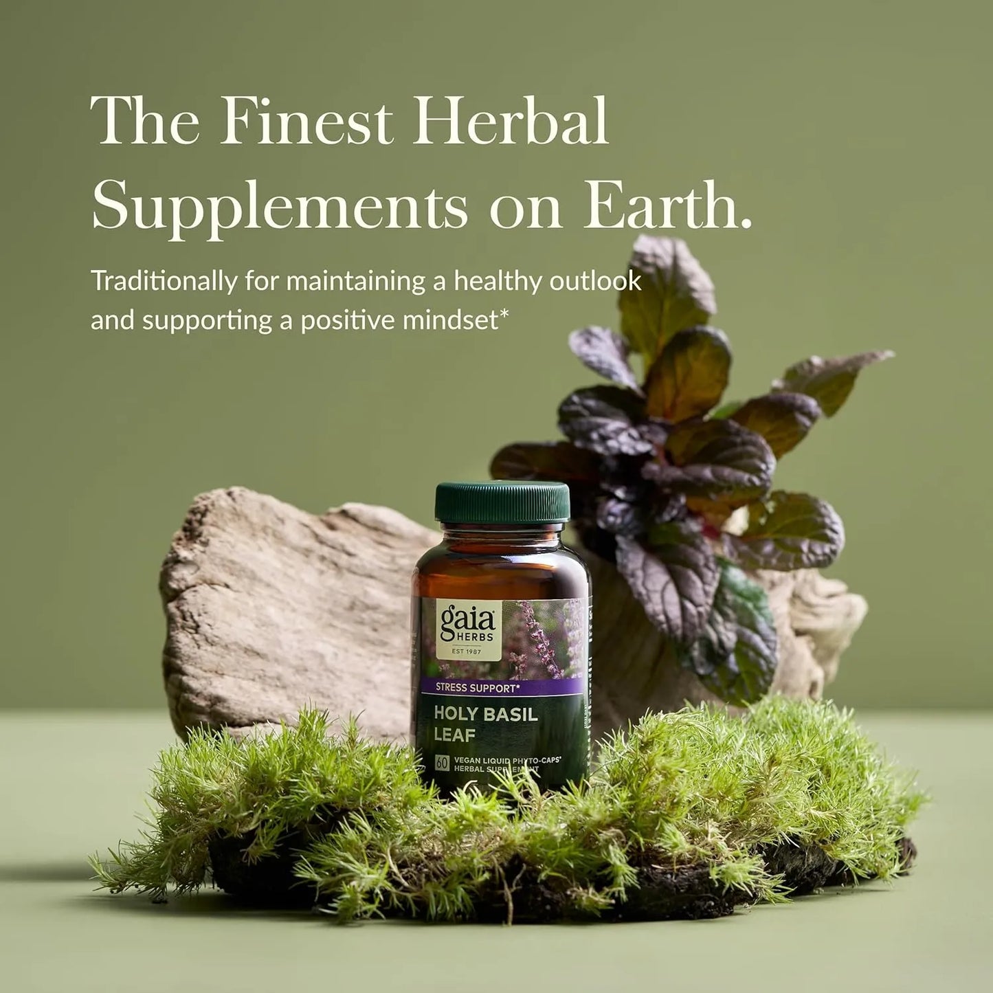 Albahaca Sagrada 60 Fito Capsulas Liquidas Apoyo Al Estrés Gaia Herbs