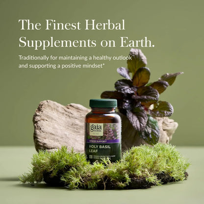 Albahaca Sagrada 60 Fito Capsulas Liquidas Apoyo Al Estrés Gaia Herbs