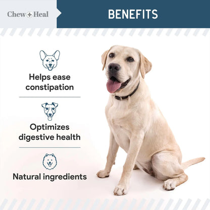 Enzimas Digestivas Con Probióticos Para Perros 120 Masticables Suaves Salud Intestinal