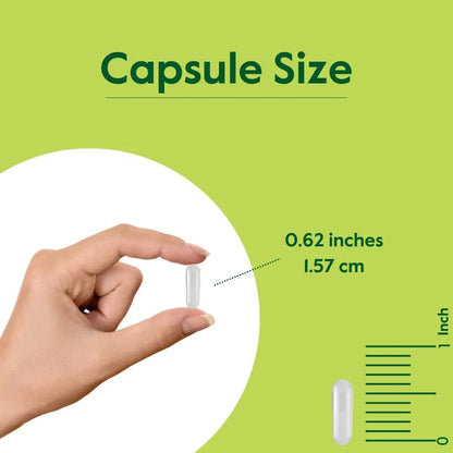 Huperzina A 200 Mcg De Huperzia Serrata Natural 120 Capsulas Vegano Sin Gluten