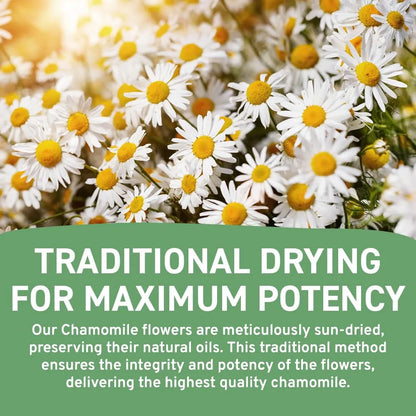 Handpick Té De Manzanilla Bolsas De Té Ecológicas 100 Relajación Natural Y Digestión Saludable