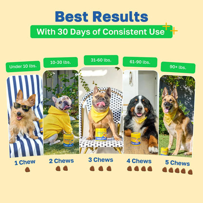 Masticables Probióticos Para Perros Salud Intestinal Sabor Pollo Vegano