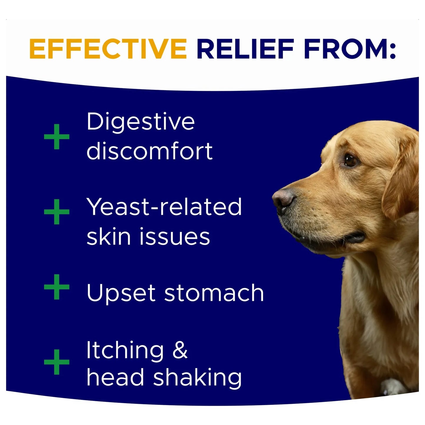 Masticables Probióticos Para Perros Con Calabaza Y Omega Salud Intestinal Y Digestiva