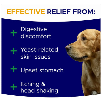 Masticables Probióticos Para Perros Con Calabaza Y Omega Salud Intestinal Y Digestiva
