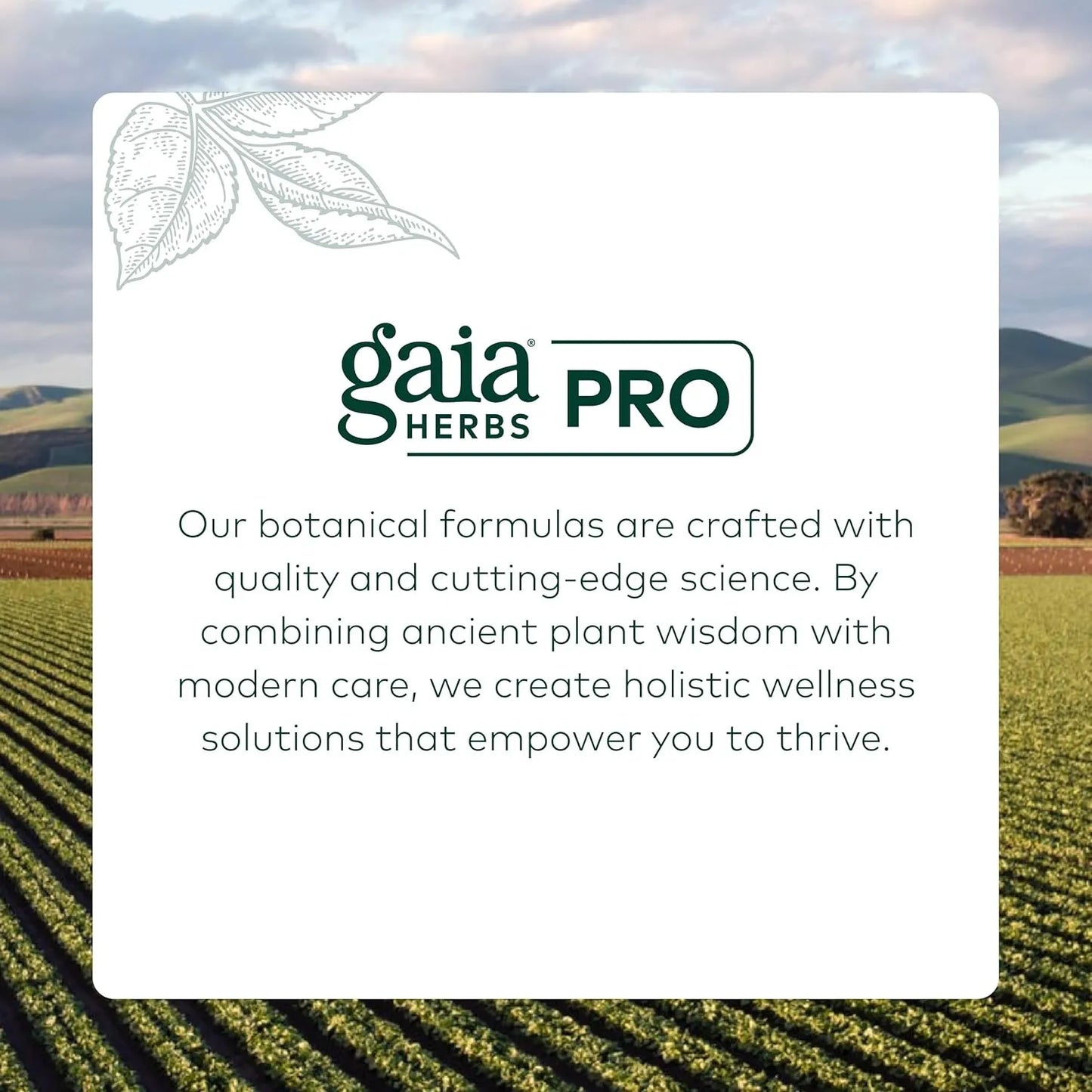 Cápsulas De Raíz De Eleuterococo Gaia Herbs PRO Energía Natural Y Resistencia Al Estrés 60 Fito Cápsulas