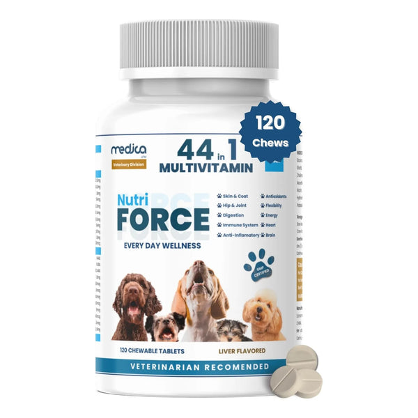 Multivitaminas Para Perros 44 En 1 Soporte Articular E Inmunológico Sabor Hígado