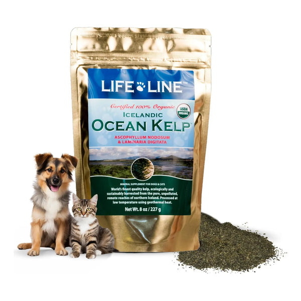 Suplemento De Algas Marinas Orgánicas Para Piel Pelaje Y Digestión En Perros Y Gatos 8 Onzas