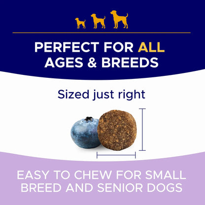 Masticables Probióticos Para Perros Con Calabaza Y Omega Salud Intestinal Y Digestiva