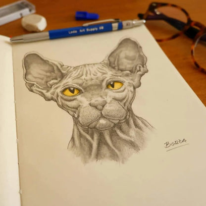 Set De 12 Lápices Mecánicos 5B Con Grafito Y Tajador Para Dibujo Profesional