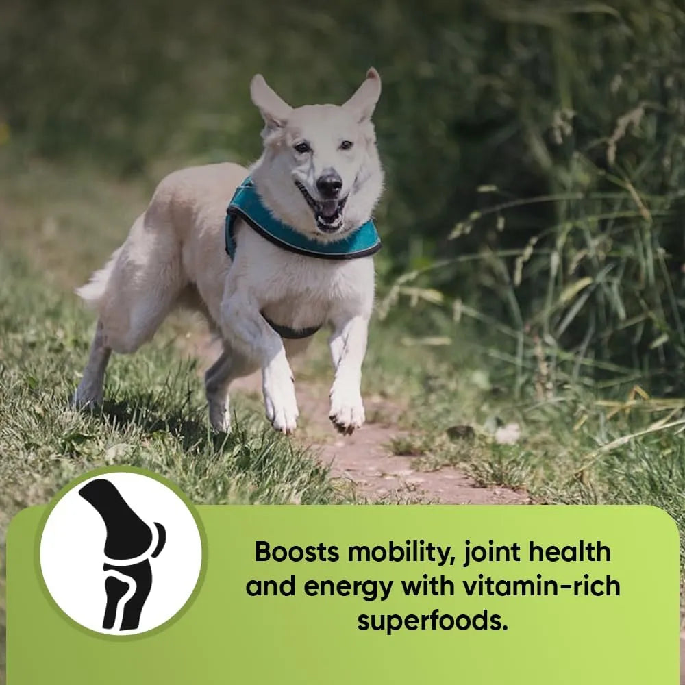 Polvo De Verduras Para Perros Con Brotes De Brócoli Espirulina Suplemento Nutritivo