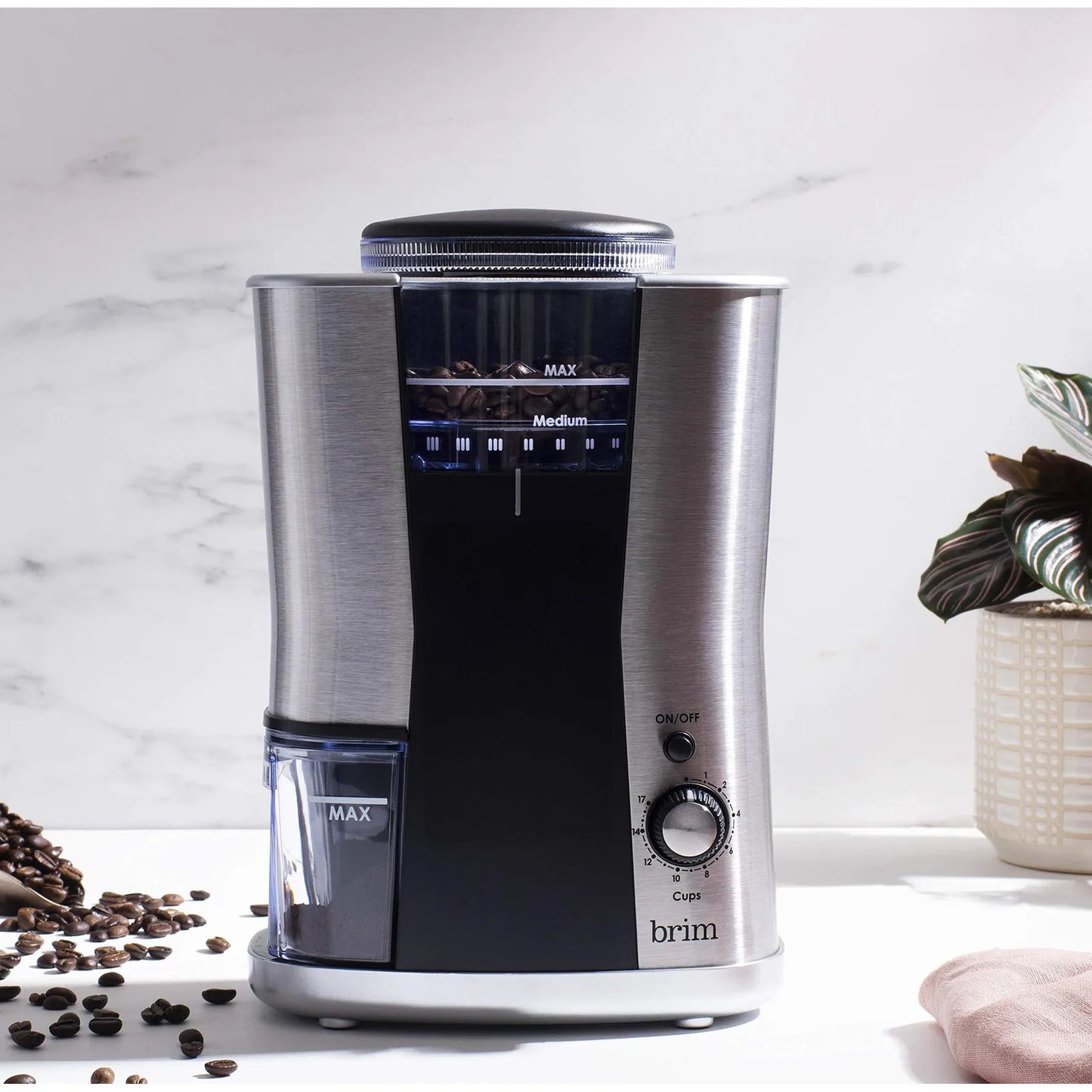 Molinillo De Café Cónico 17 Ajustes Molienda Uniforme Acero Inoxidable Envío Gratis