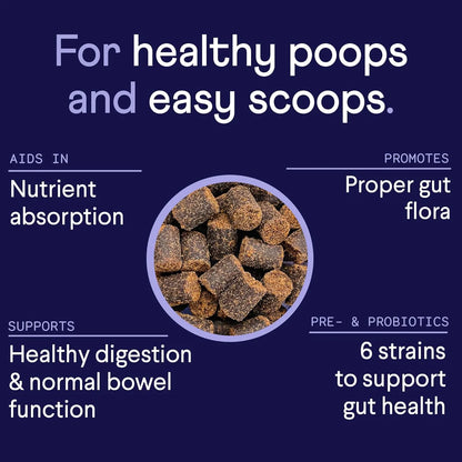 Probióticos Digestivos Para Perros Con Calabaza Soporte Intestinal E Inmunológico Finn