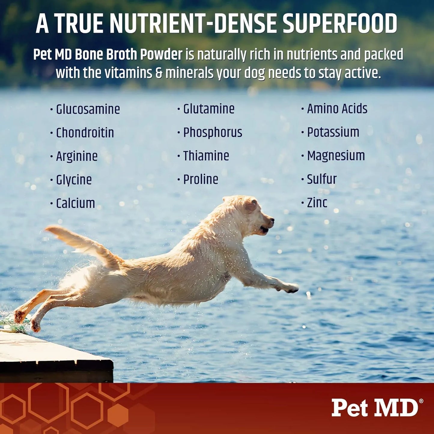 Caldo De Huesos Para Perros Nutritivo Con Vitaminas Y Minerales