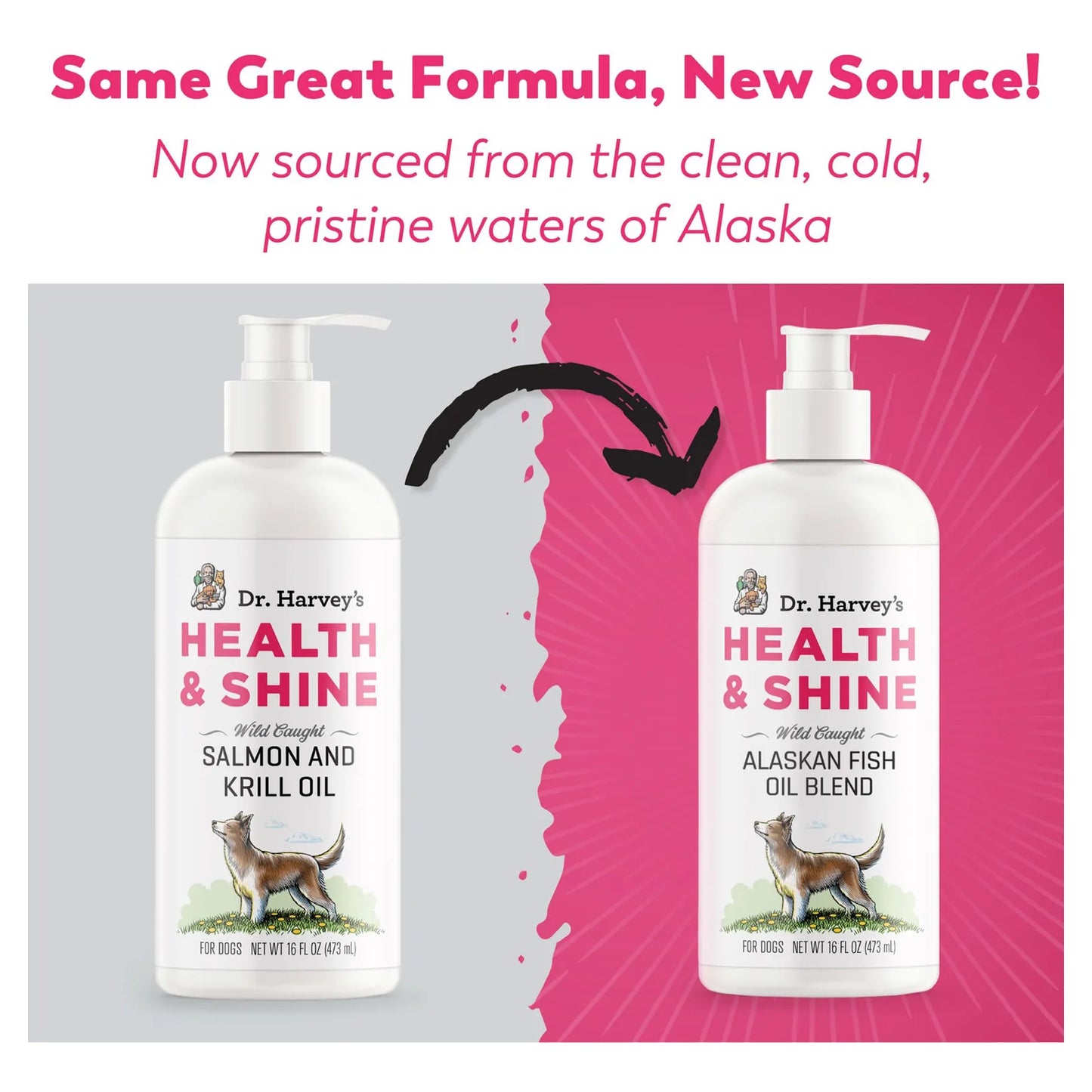 Aceite De Salmon Y Krill Para Perros Dr Harveys Health Shine 16 Oz