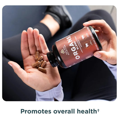 Capsulas De Complejo De Organos Naturales Hígado Corazón 180 Unidades Ancient Nutrition