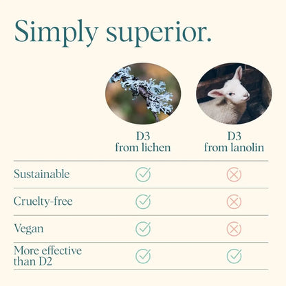 Vitamina D3 2000UI Vegana De Liquen Salud Osea Energia Y Defensas