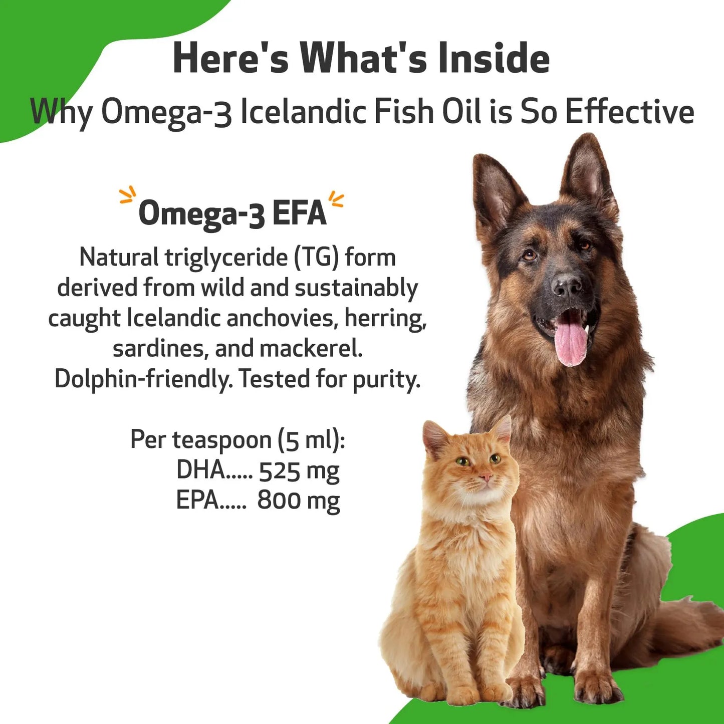 Aceite De Pescado Omega 3 Para Perros Salud Articular Piel Brillante