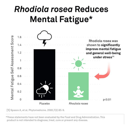 AdreCor Complejo Suprarrenal Con Raiz De Regaliz Y Rodiola 90 Capsulas Aumenta Energia