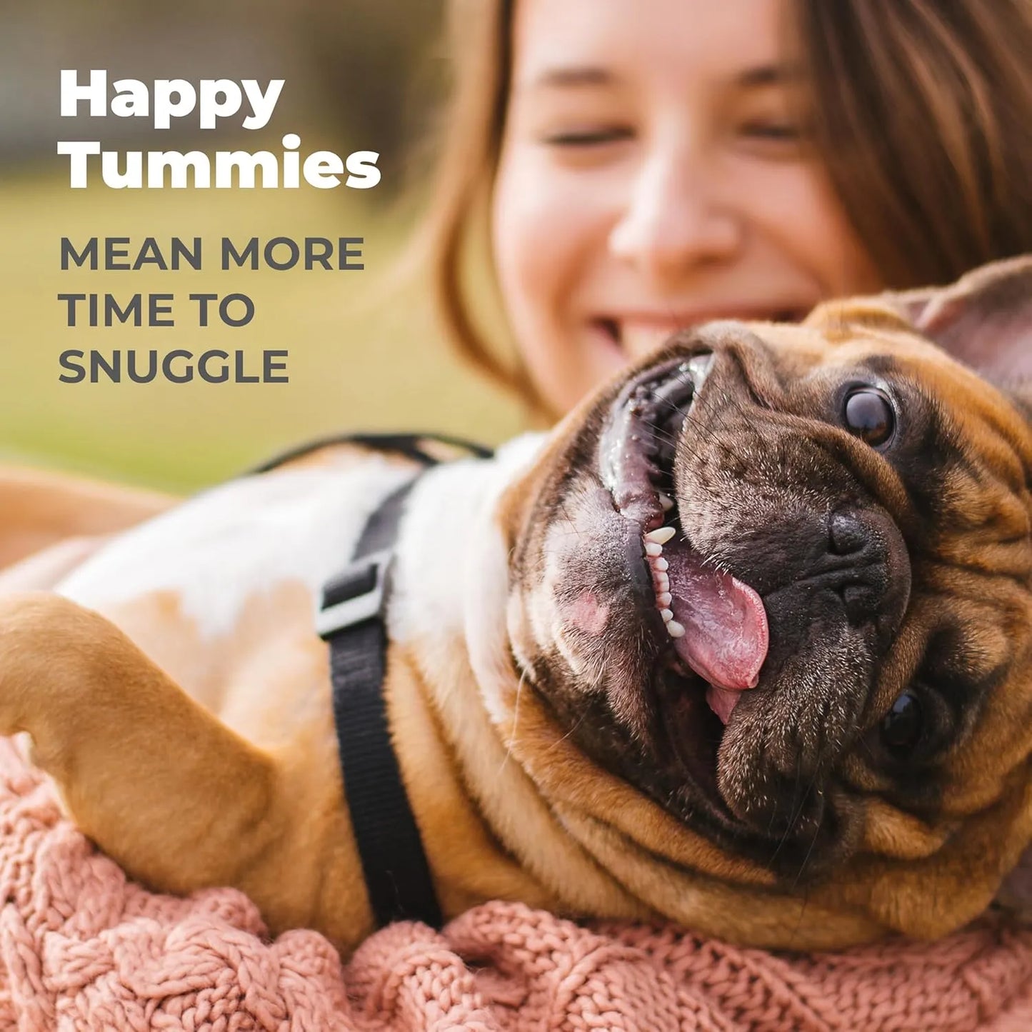 Probióticos Masticables Para Perros Vetnique Glandex Sabor Tocino Salud Intestinal