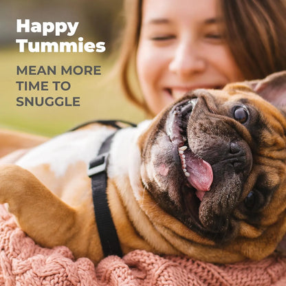 Probióticos Masticables Para Perros Vetnique Glandex Sabor Tocino Salud Intestinal