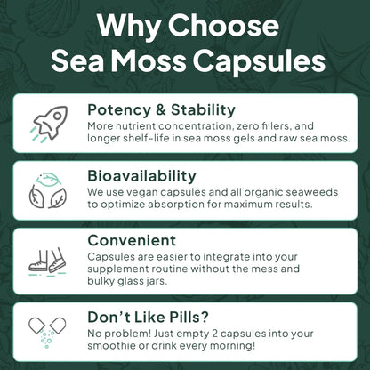 Cápsulas De Musgo Marino Irlandés Orgánico Con Clorella Y Vitamina D3 Para Energía Y Salud