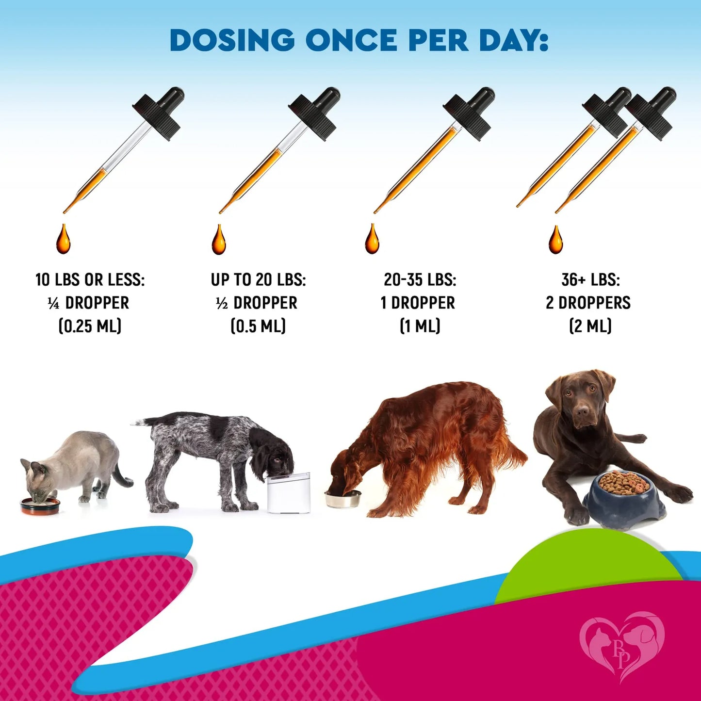 Tratamiento Natural Infecciones Urinarias Gatos Y Perros Arándano Y Soporte Renal