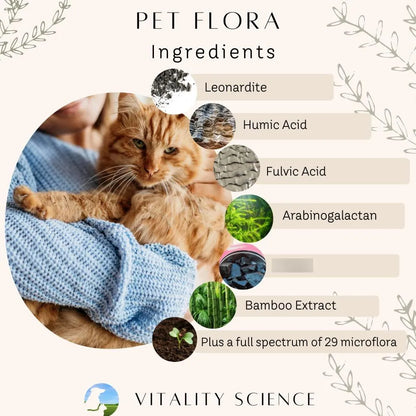Probiótico Pet Flora Para Gatos Y Perros Digestión Diarrea Vómitos 100 Caps