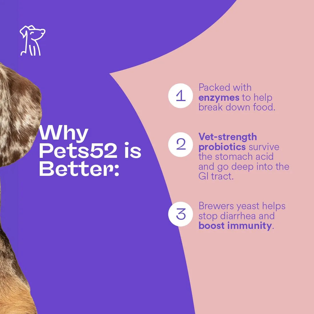 Pets52 Probióticos Digestivos Para Perros Con Enzimas Apoyo Intestinal 60 Masticables