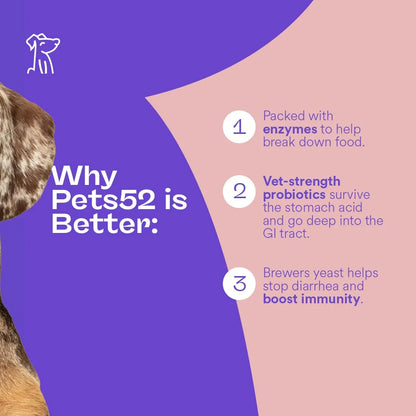 Pets52 Probióticos Digestivos Para Perros Con Enzimas Apoyo Intestinal 60 Masticables