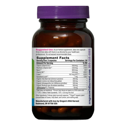 Suplemento De L Teanina Para Alivio Natural Del Estrés 90 Cápsulas Veganas