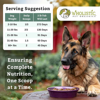 Multivitaminico En Polvo Para Perros 900g Nutrientes Esenciales Piel Y Digestión