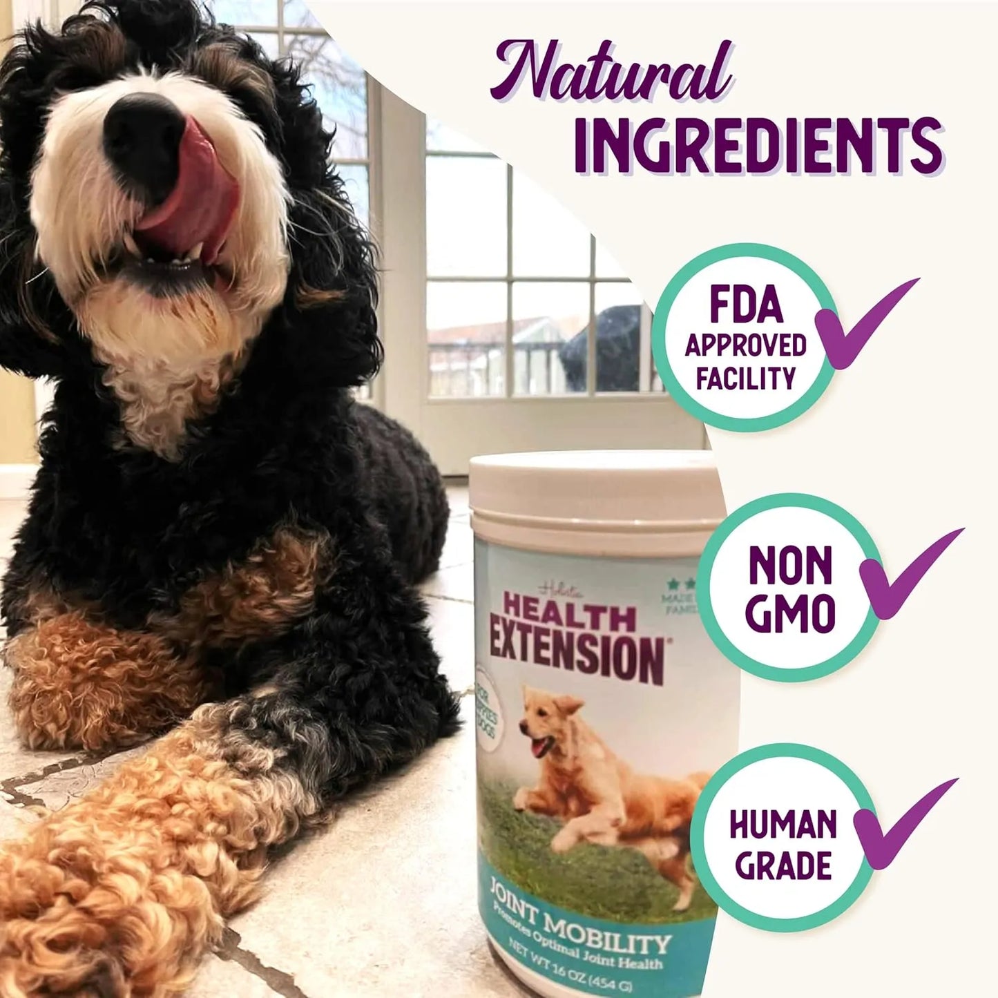 Polvo Con Sabor A Queso Para Perros Con Glucosamina Y Condro Alivia Dolor Articulaciones