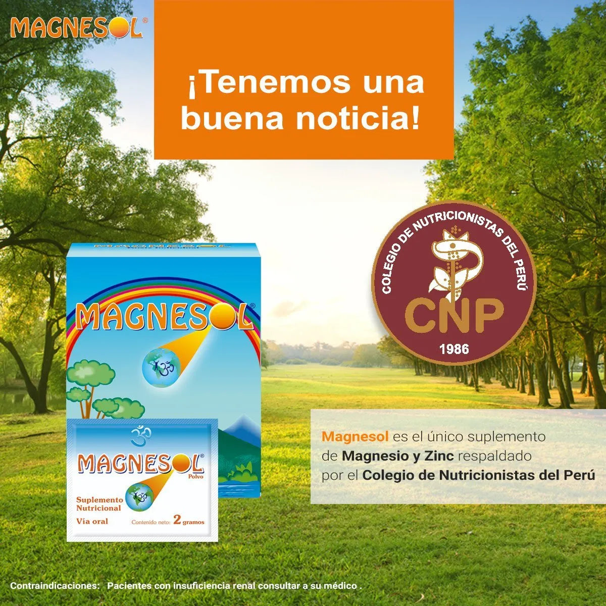 Suplemento De Magnesio Y Zinc En Polvo 260 Mg 33 Bolsitas