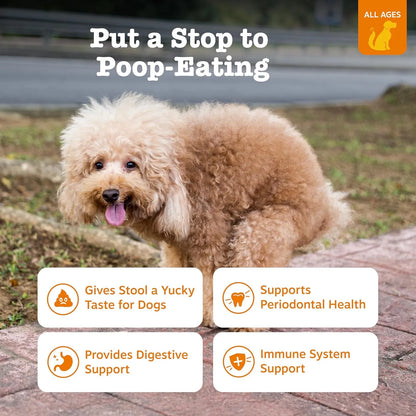 Masticables No Poo Para Perros Con Probióticos Detiene Coprofagia Salud Intestinal Y Dental