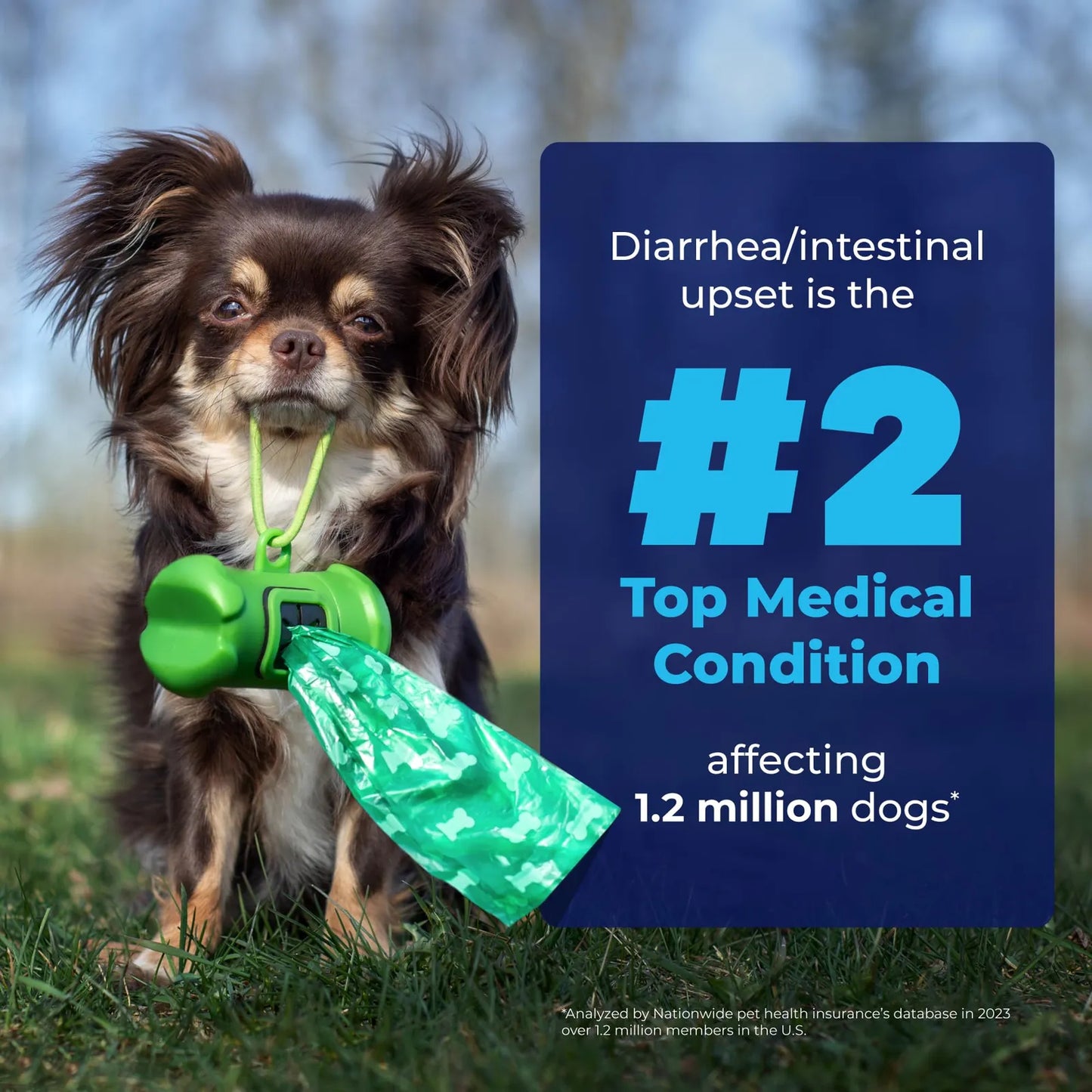 Glandex Golosinas Masticables Para Glándula Anal Con Calabaza Perros 60ct
