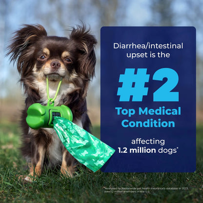 Glandex Golosinas Masticables Para Glándula Anal Con Calabaza Perros 60ct