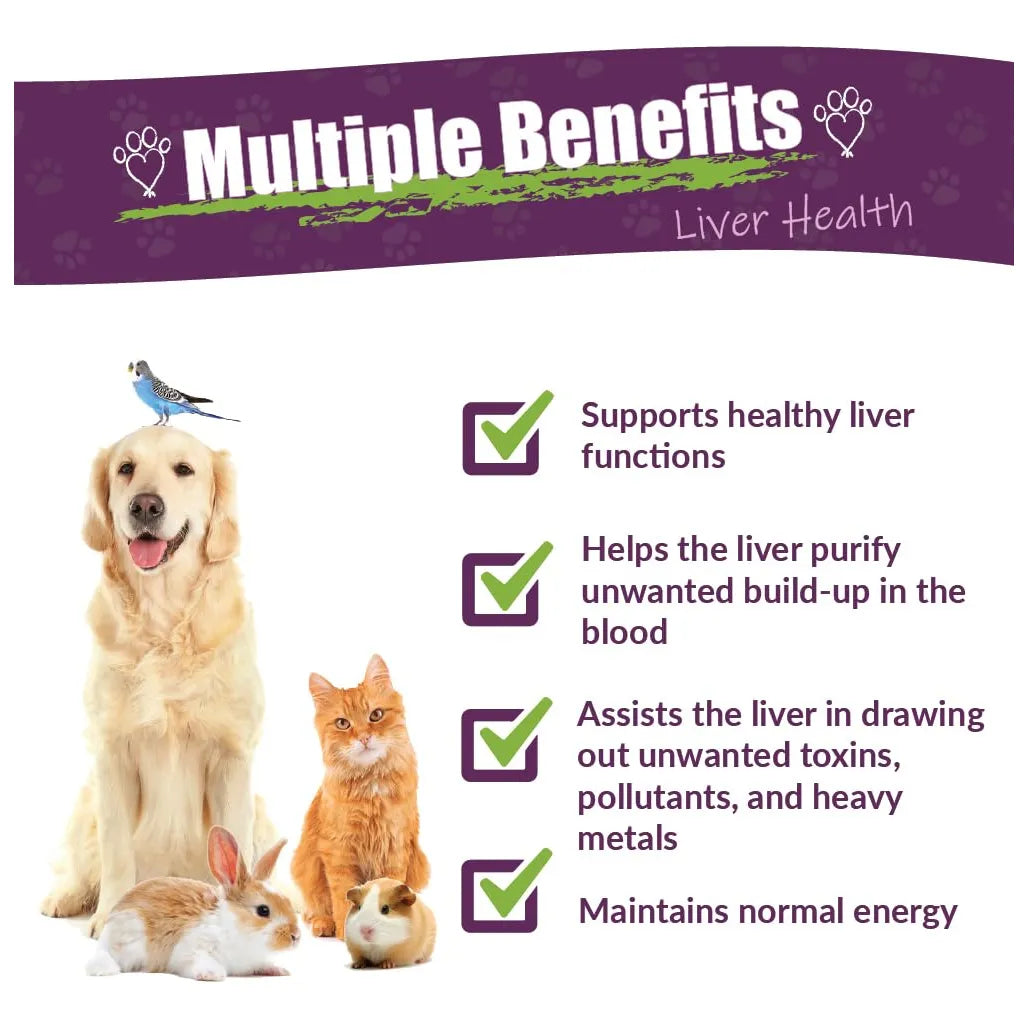 Life Cell Support Salud Del Hígado Para Mascotas 1 Onza Amber NaturalZ