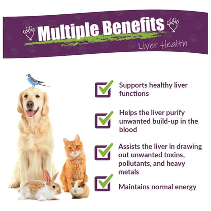 Life Cell Support Salud Del Hígado Para Mascotas 1 Onza Amber NaturalZ