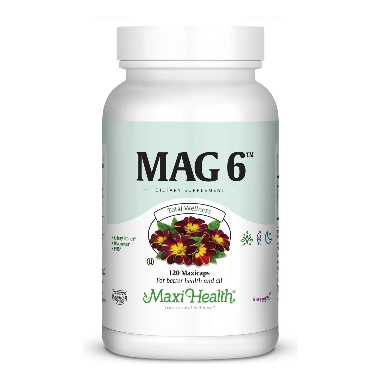 Mag 6 Magnesio Óxido Glicinato Con Vitamina B6 120 Cápsulas Alivia Calambres Migrañas