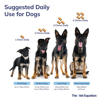 Masticables Para Perros Sabor Pato 90 Unidades Soporte Articular