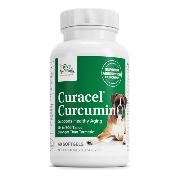 Capsulas De Curcumina Antioxidante Para Perros Salud Celular 60 Cápsulas Importado USA