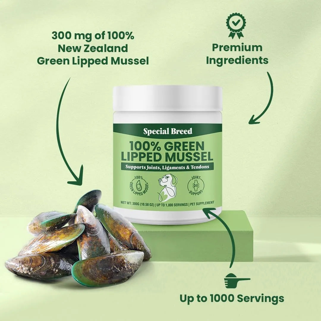 Polvo De Mejillones Labios Verdes Para Articulaciones De Perros Y Gatos 300g Importado