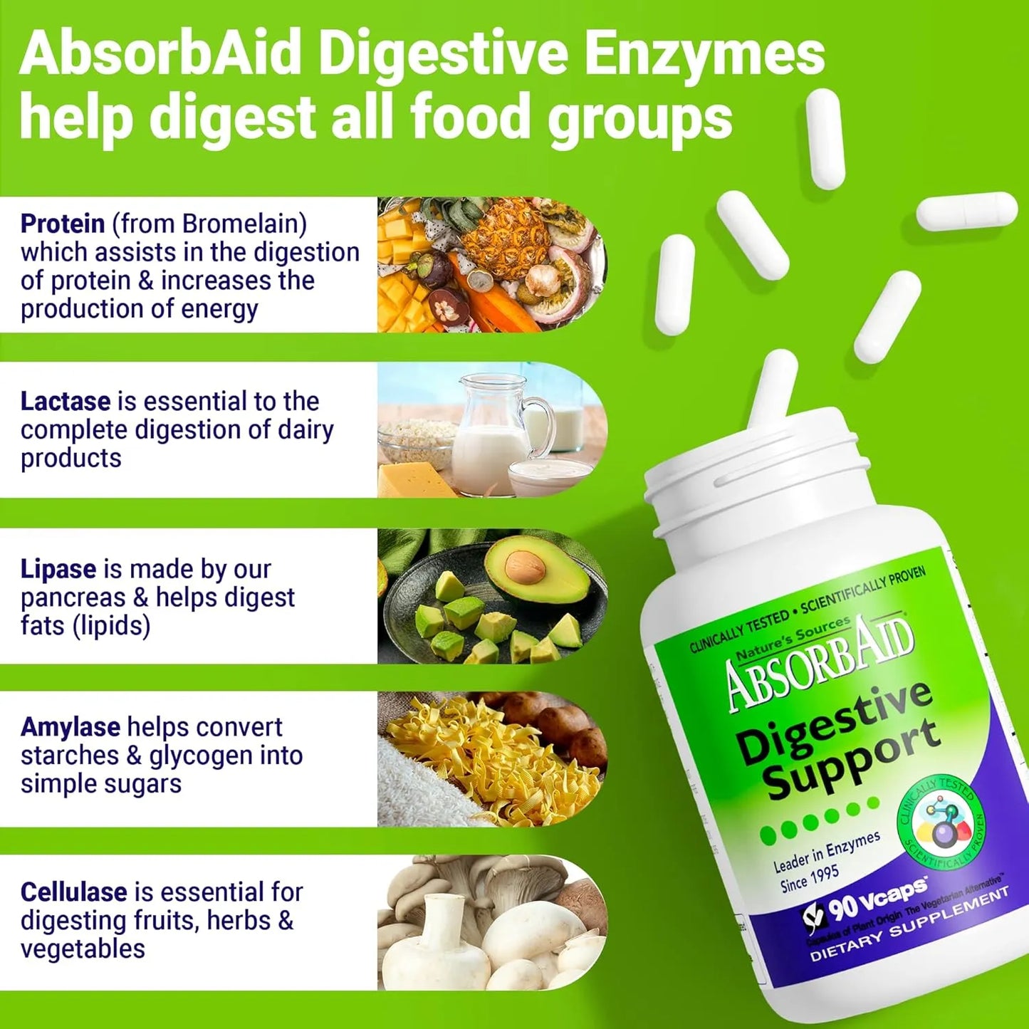 Absorbaid 90 Capsulas Veganas Soporte Digestivo Natural Eficaz
