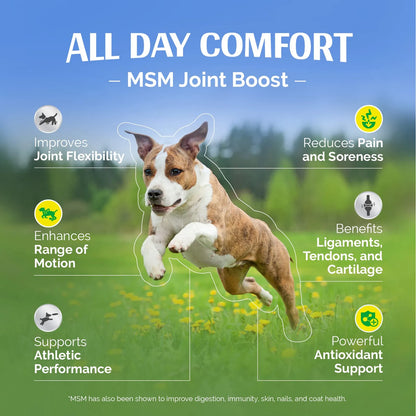 MSM Polvo Refuerzo Articulaciones Perros Movilidad Flexibilidad Antiinflamatorio Natural