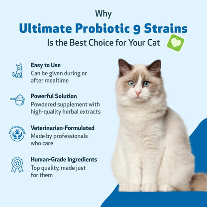 Probióticos Avanzados Para Gatos 9 Cepas Con Prebióticos Salud Intestinal E Inmunidad