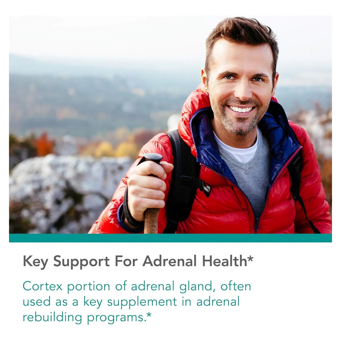 Extracto Bovino Liofilizado Apoyo Suprarrenal 100 Mg 100 Cápsulas Energía Y Defensas