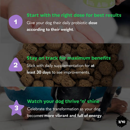 Probióticos Para Perros Tails N Tummies Alivia Alergias Y Diarrea