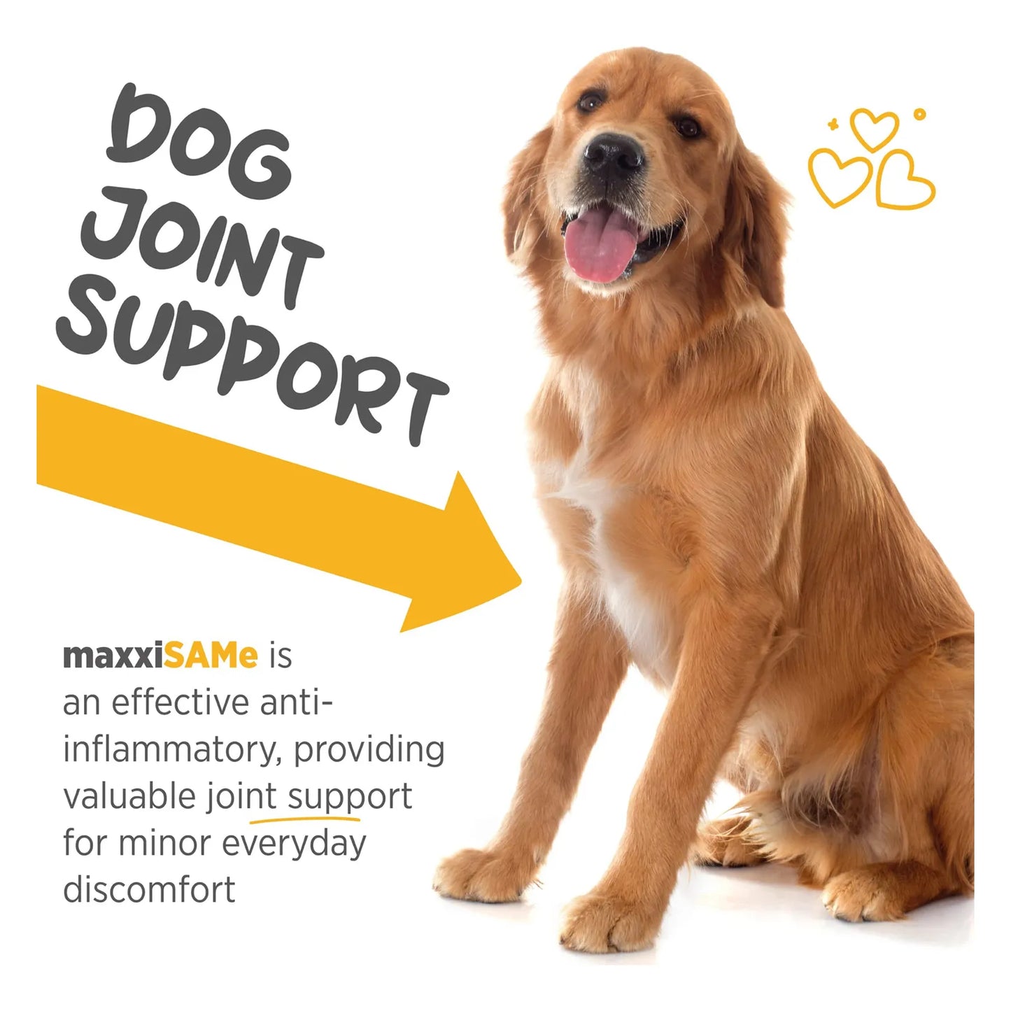 Suplemento Hepatico Y Cognitivo Para Perros MaxxiSAMe 5.3 Onzas
