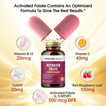 Folato L 5 MTHF 500 Mcg Dfe Suplemento Salud Corazón 90 Cápsulas